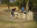 Zmabia Card 2 047